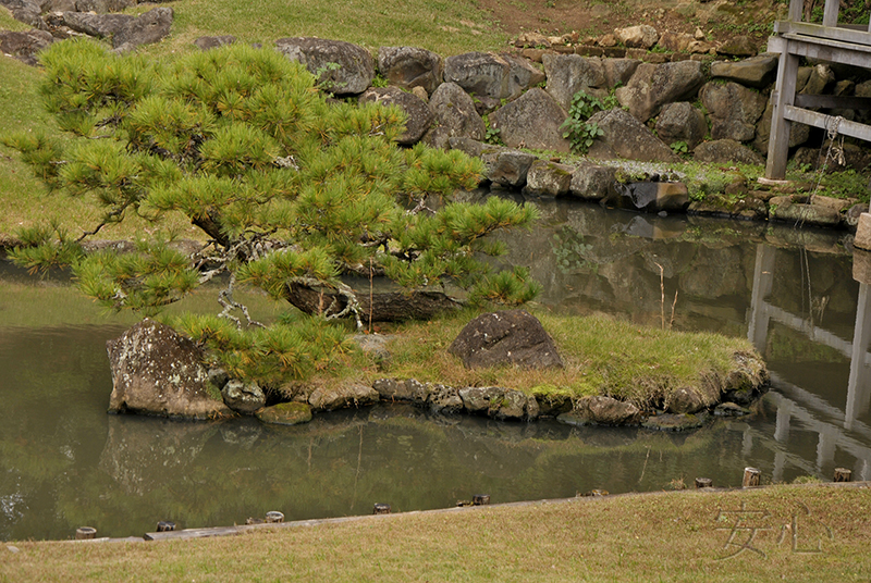 остров черепахи в саду храма Кэнтё-дзи