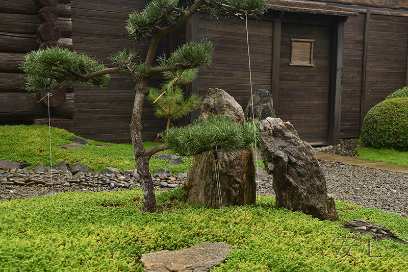 Garden of peace of mind