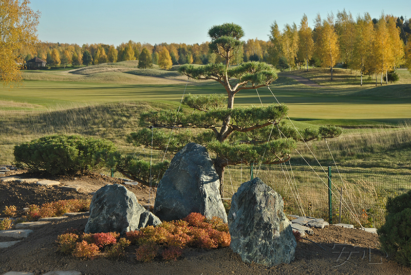 Garden of the Tiger and the Dragon