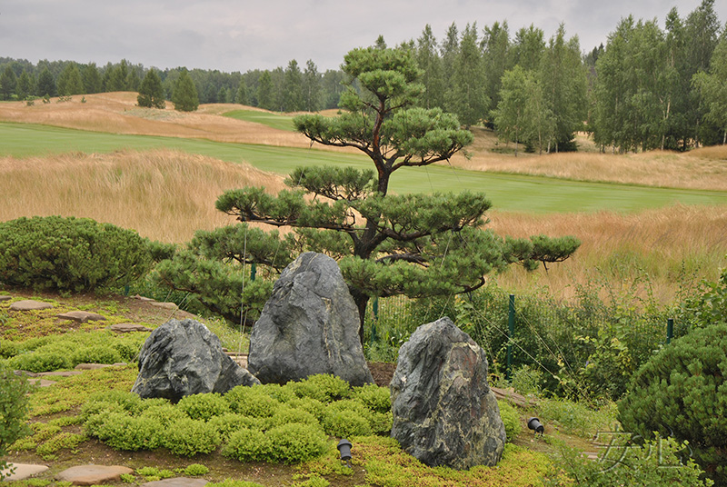 Garden of the Tiger and the Dragon