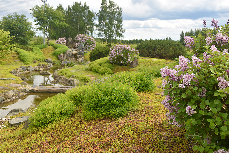 Garden of the Tiger and the Dragon