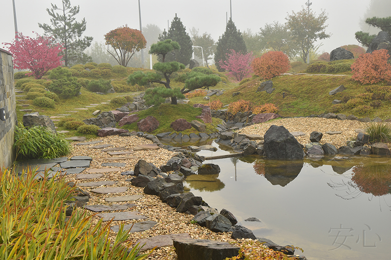 Garden of the Tiger and the Dragon