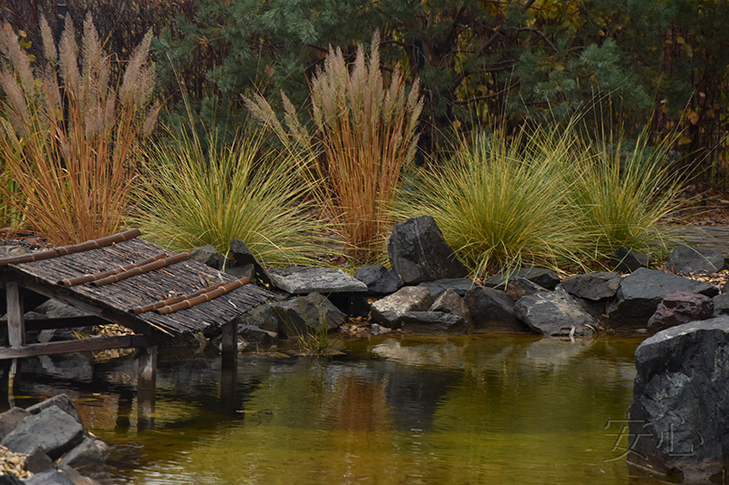 Garden of the Tiger and the Dragon