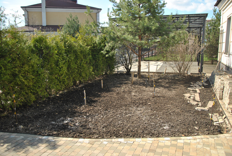 A small Japanese garden