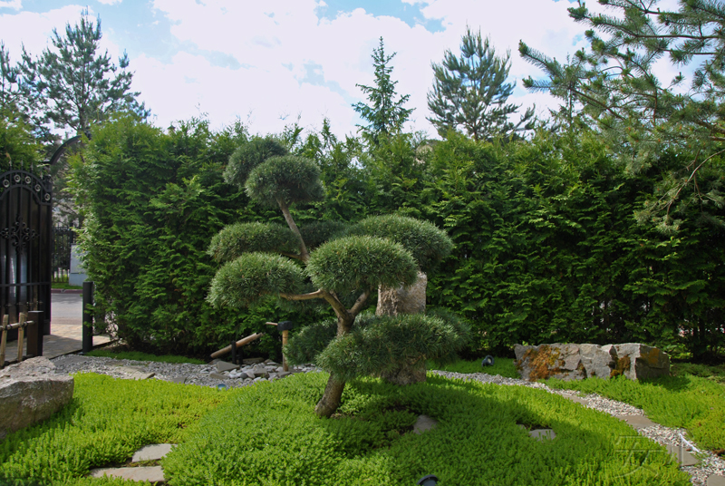 A small Japanese garden