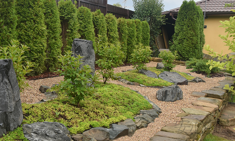 Garden of Dancing Maples