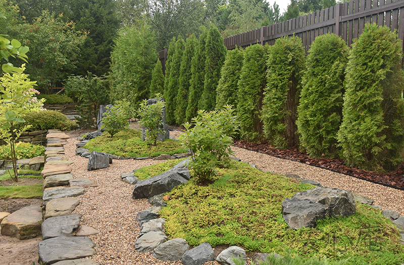 Garden of Dancing Maples