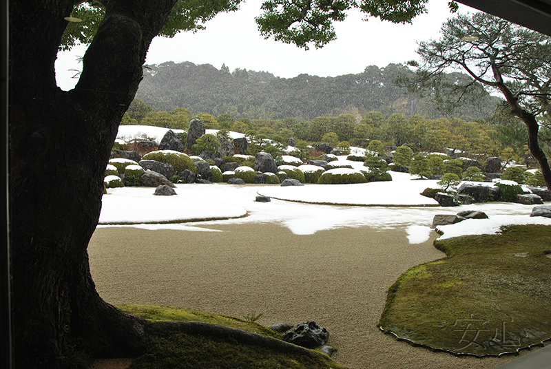 Adachi Museum Gardens