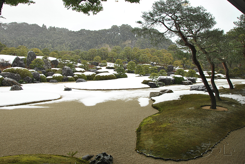 Adachi Museum Gardens