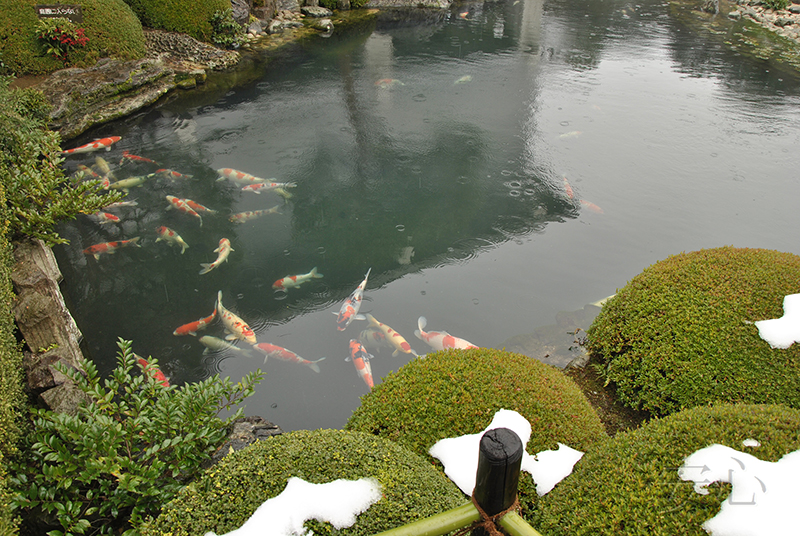 Adachi Museum Gardens