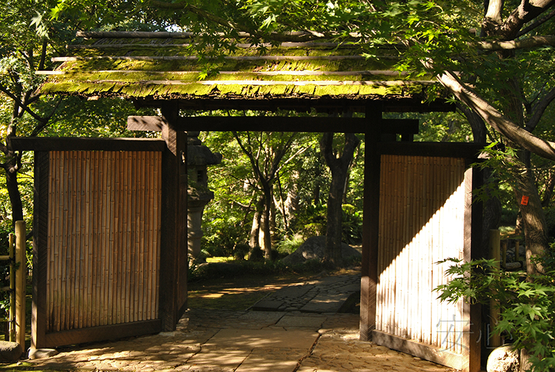 Kyu Asakura House gardens