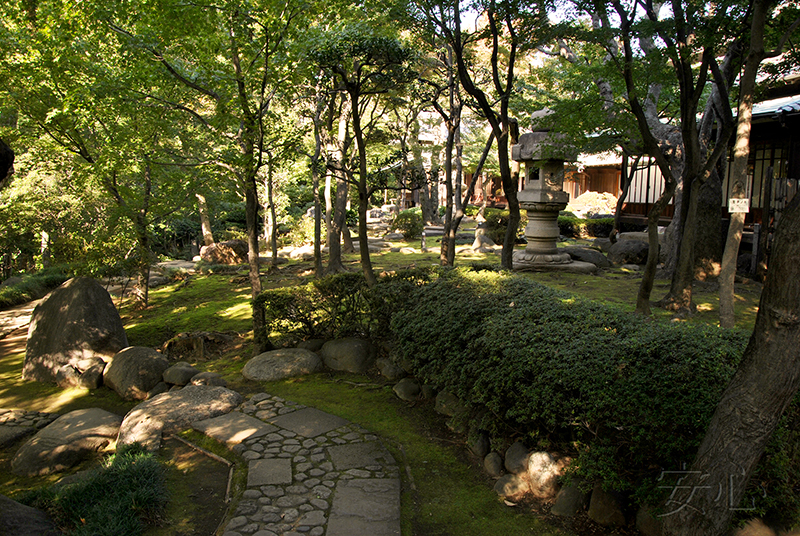 Kyu Asakura House gardens