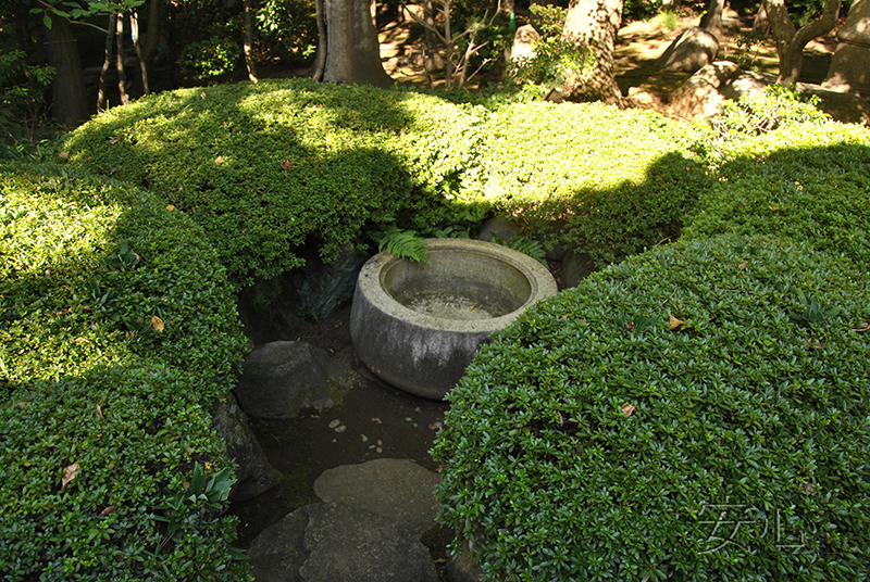 Kyu Asakura House gardens