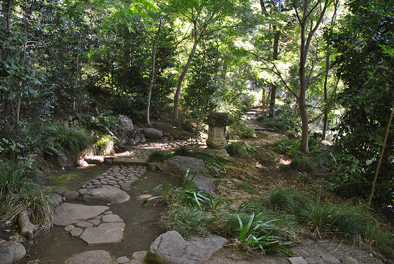 Kyu Asakura House gardens