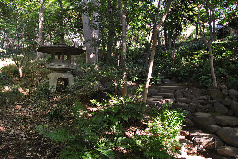 Kyu Asakura House gardens