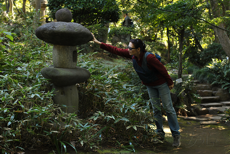 Kyu Asakura House gardens