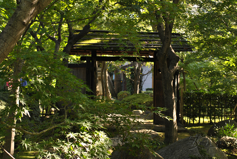 Kyu Asakura House gardens