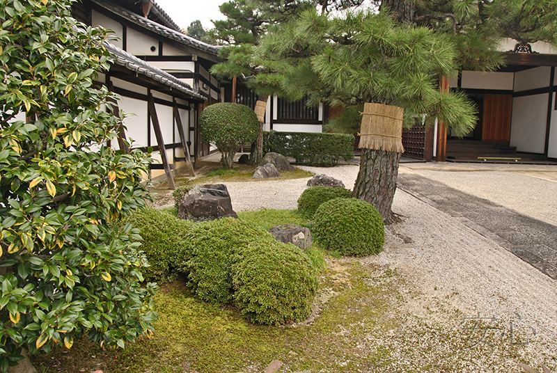 Chishaku-in Temple Garden