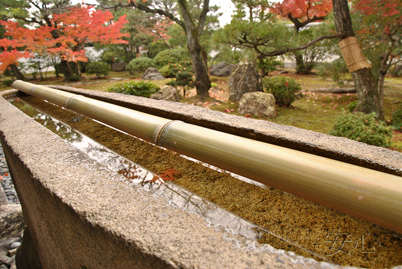 Chishaku-in Temple Garden