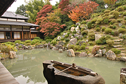 сад храма Тисяку-ин