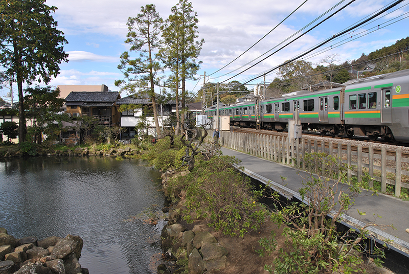 The gardens of Engaku-ji Temple