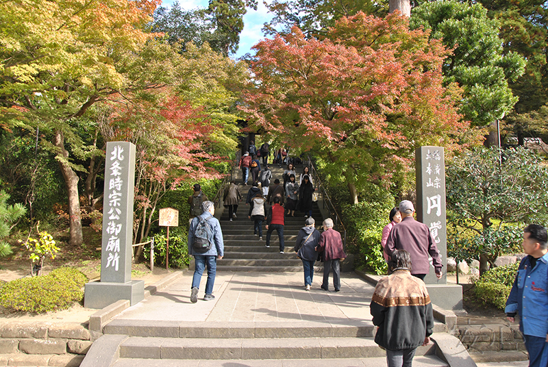 The gardens of Engaku-ji Temple