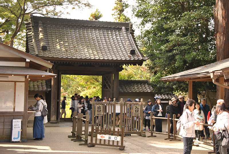 The gardens of Engaku-ji Temple