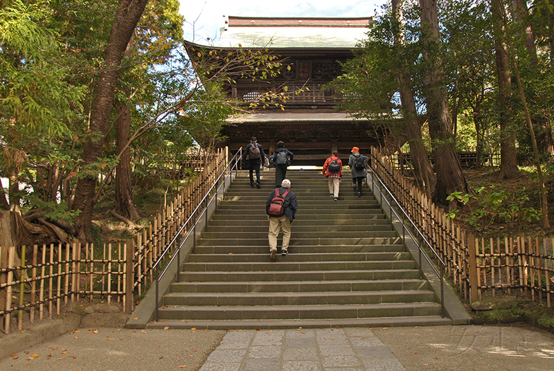 The gardens of Engaku-ji Temple