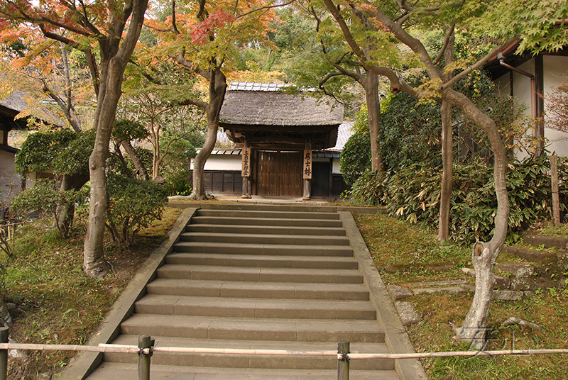 The gardens of Engaku-ji Temple