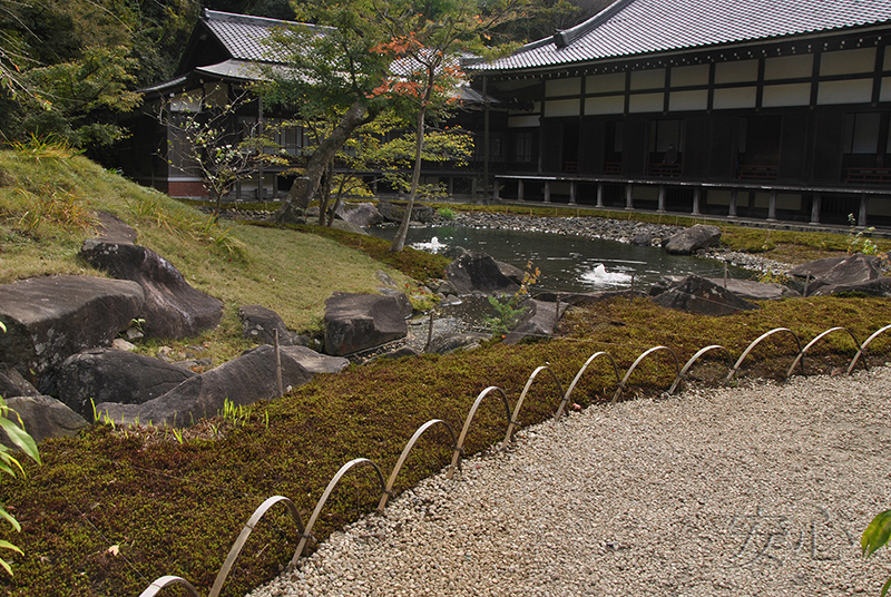 The gardens of Engaku-ji Temple