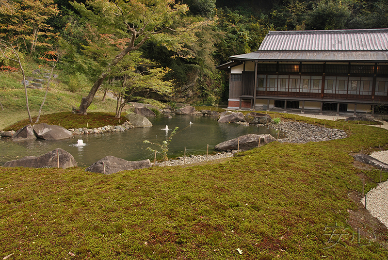 The gardens of Engaku-ji Temple