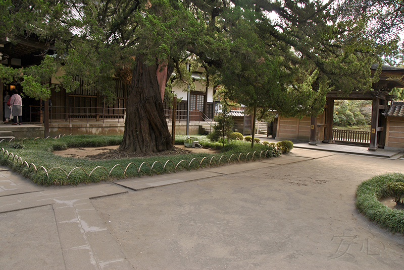 The gardens of Engaku-ji Temple