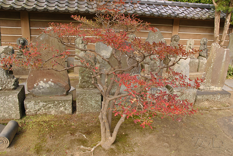 The gardens of Engaku-ji Temple