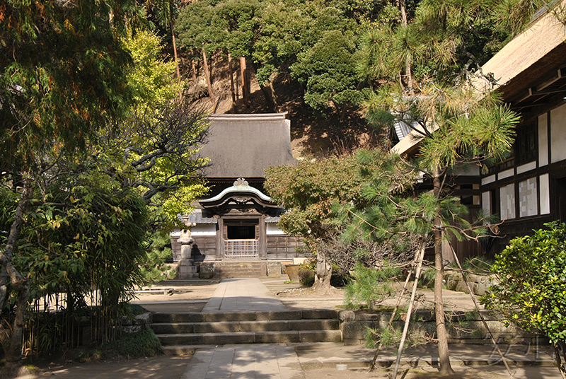 The gardens of Engaku-ji Temple