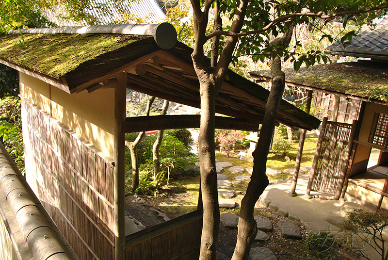 The gardens of Engaku-ji Temple