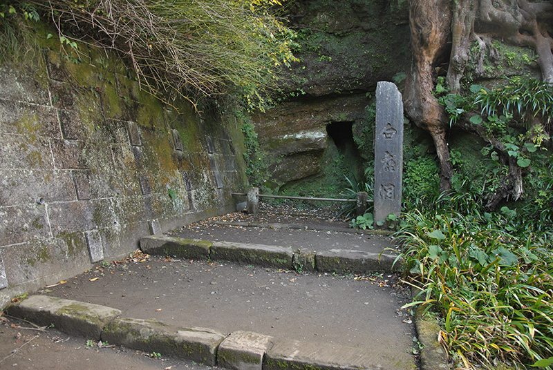 The gardens of Engaku-ji Temple