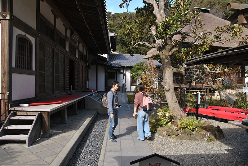 The gardens of Engaku-ji Temple