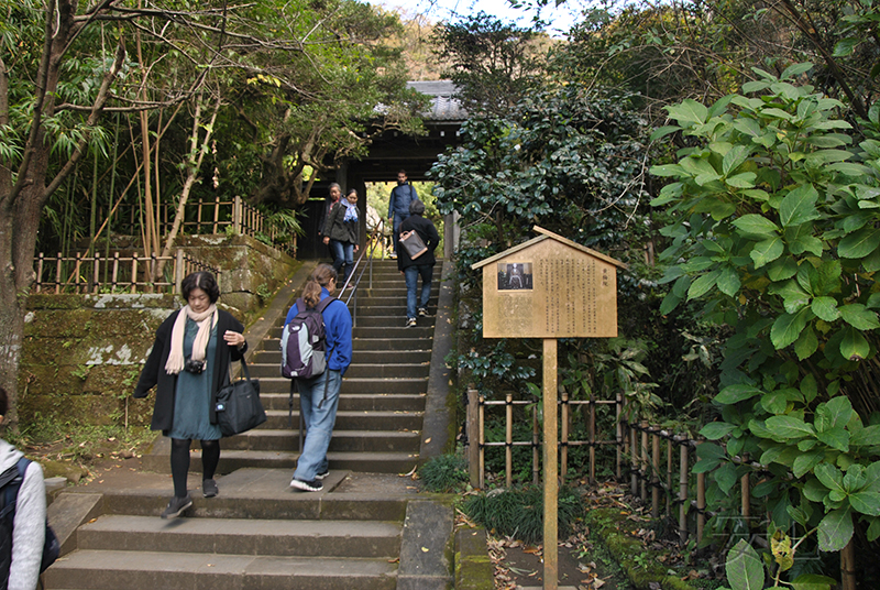 The gardens of Engaku-ji Temple