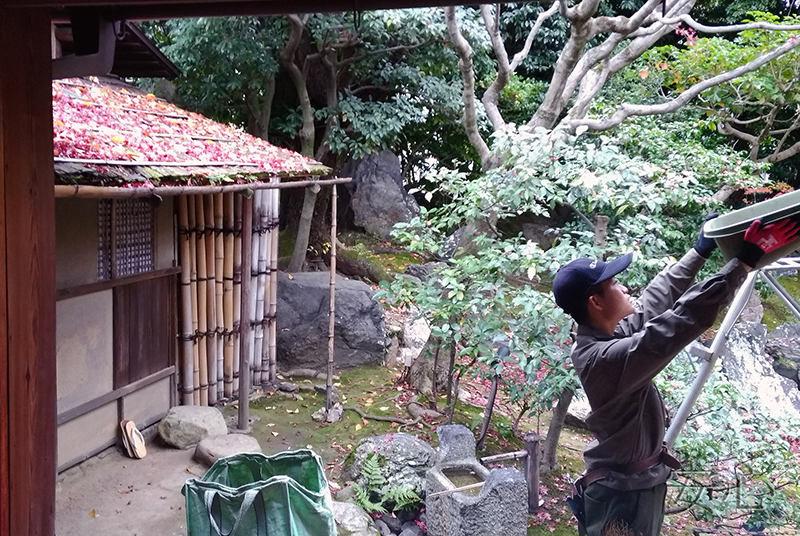 Entoku-in Temple garden