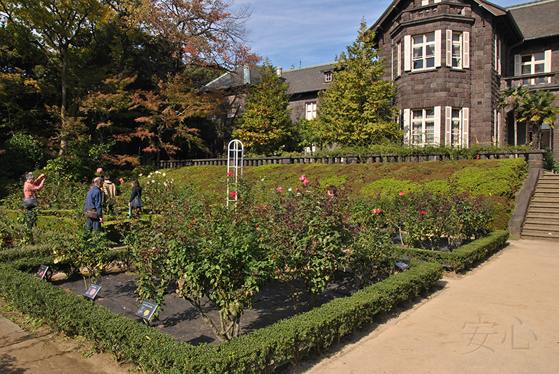 Kyu-Furukawa Gardens