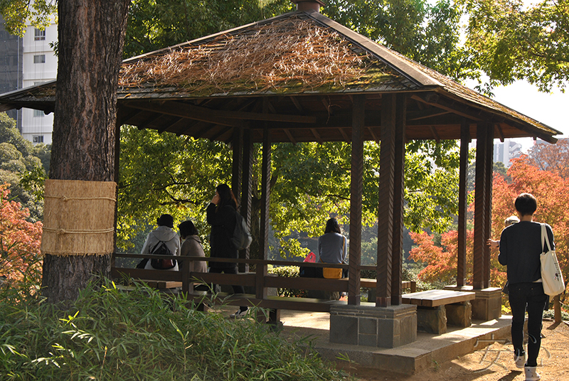 Kyu-Furukawa Gardens