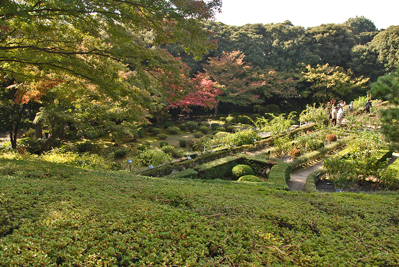 Kyu-Furukawa Gardens