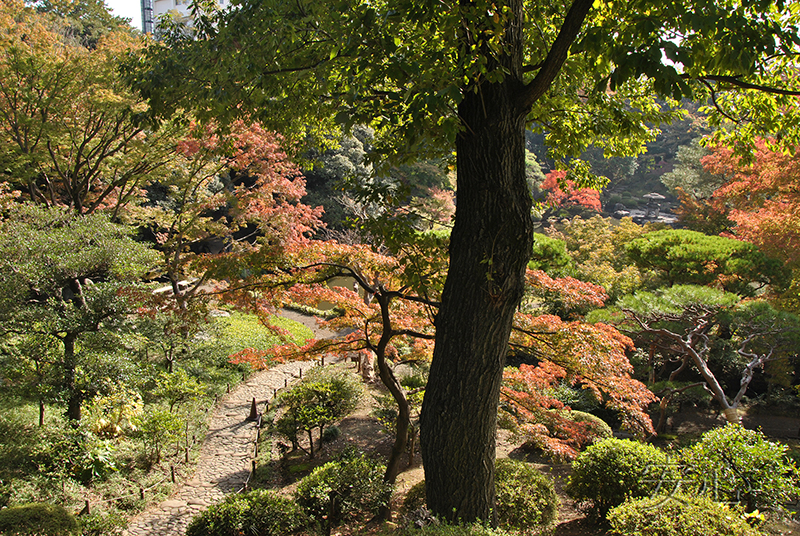 Kyu-Furukawa Gardens