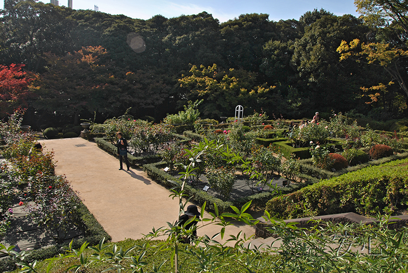 Kyu-Furukawa Gardens