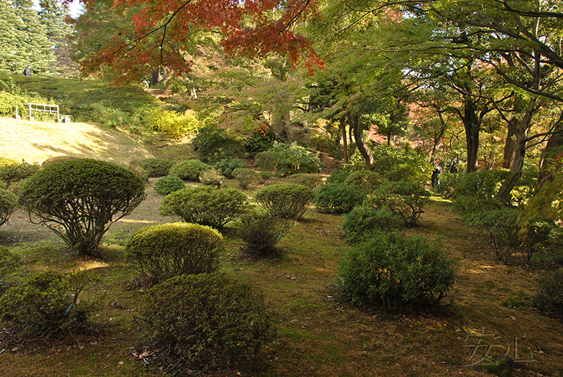 Kyu-Furukawa Gardens