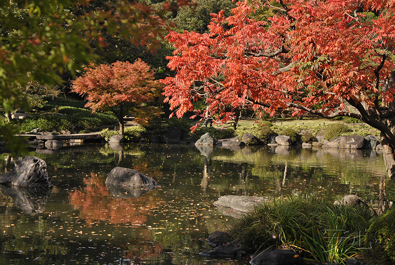 Kyu-Furukawa Gardens