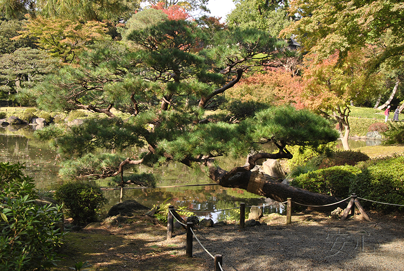 Kyu-Furukawa Gardens