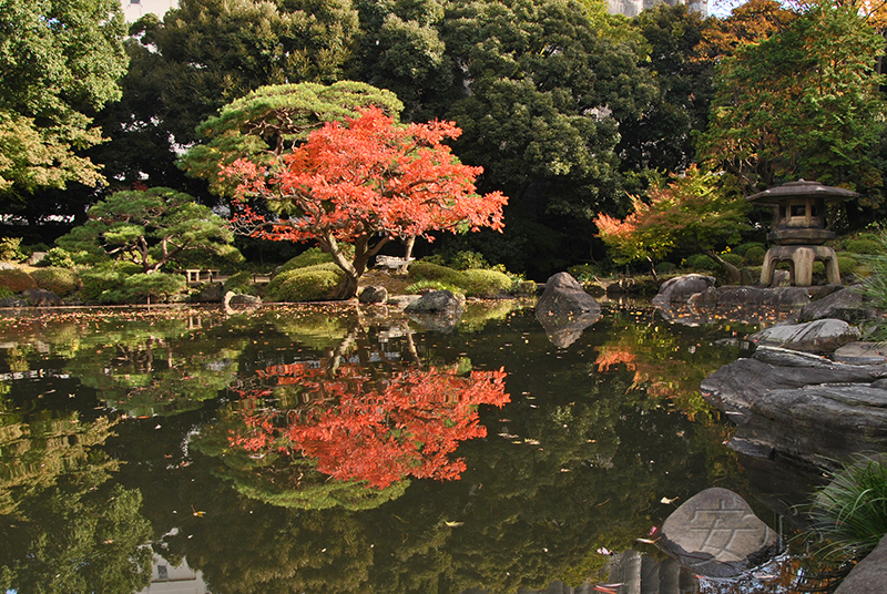 Kyu-Furukawa Gardens