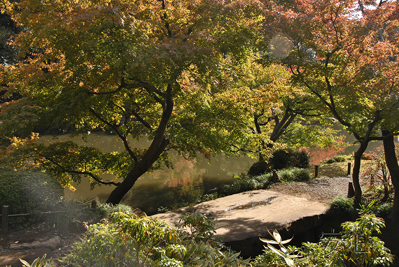 Kyu-Furukawa Gardens