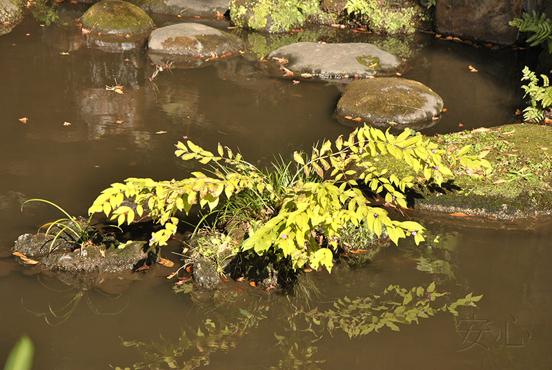 Kyu-Furukawa Gardens